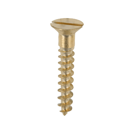 Timco Solid Brass Timber Screws Lime