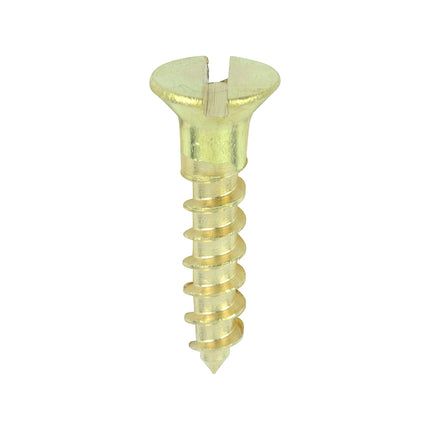 Timco Solid Brass Timber Screws Lime