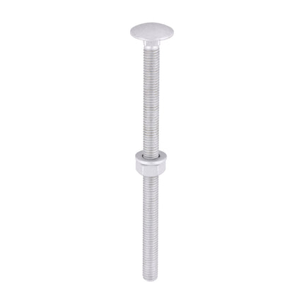 Timco Carriage Bolts Hex Nuts & Form A Washers Silver, Steel
