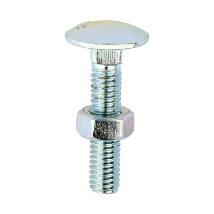 Timco Carriage Bolts & Hex Nuts, Zinc Steel