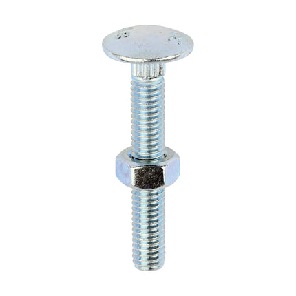 Timco Carriage Bolts & Hex Nuts, Zinc Steel