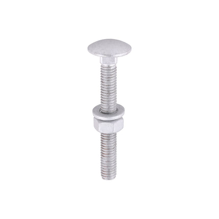 Timco Carriage Bolts Hex Nuts & Form A Washers Silver, Steel