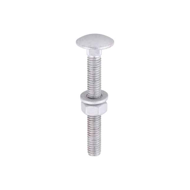 Timco Carriage Bolts Hex Nuts & Form A Washers Silver, Steel