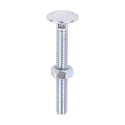 Timco Carriage Bolts & Hex Nuts, Zinc Steel