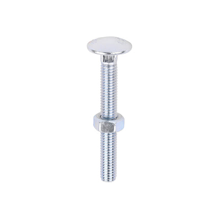 Timco Carriage Bolts & Hex Nuts, Zinc Steel