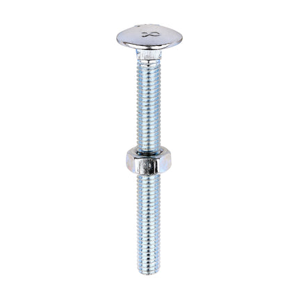 Timco Carriage Bolts & Hex Nuts, Zinc Steel