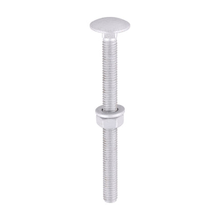 Timco Carriage Bolts Hex Nuts & Form A Washers Silver, Steel