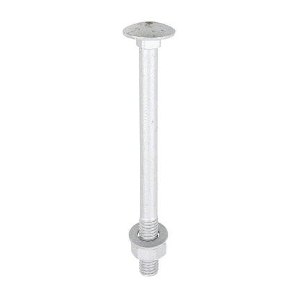 Timco Carriage Bolts Hex Nuts & Form A Washers Silver, Steel