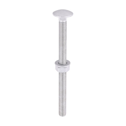 Timco Carriage Bolts Hex Nuts & Form A Washers Silver, Steel
