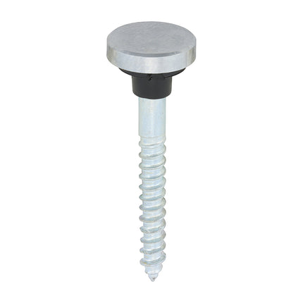 Timco Mirror Screws, Zinc, Chrome Flat Lime