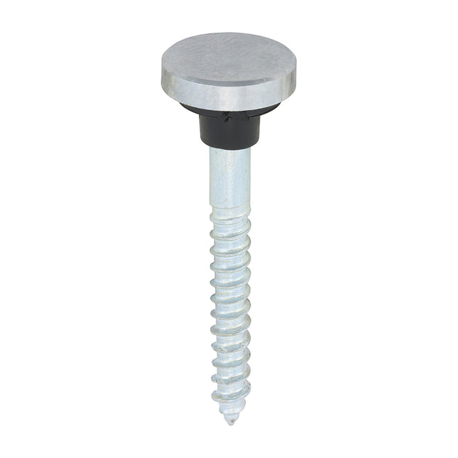 Timco Mirror Screws, Zinc, Chrome Flat Lime