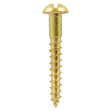 Timco Solid Brass Timber Screws Lime