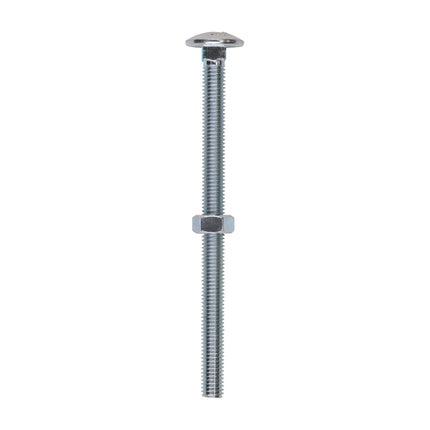 Timco Carriage Bolts & Hex Nuts, Zinc Steel