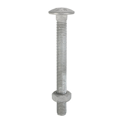 Timco Carriage Bolts & Hex Nuts Galvanised Steel