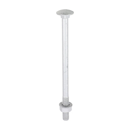 Timco Carriage Bolts Hex Nuts & Form A Washers Silver, Steel
