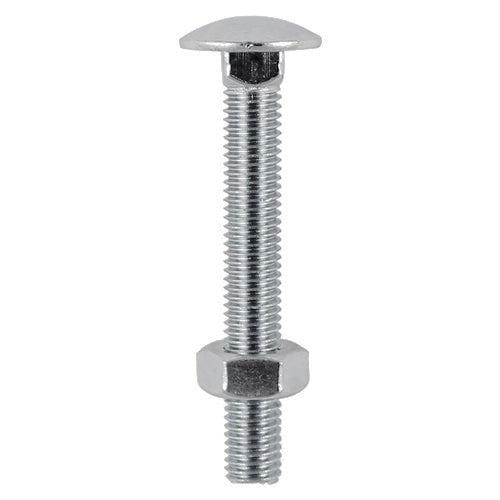Timco Carriage Bolts & Hex Nuts, Stainless Steel