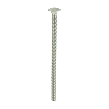 TIMCO Carriage Bolts A2 Stainless Steel
