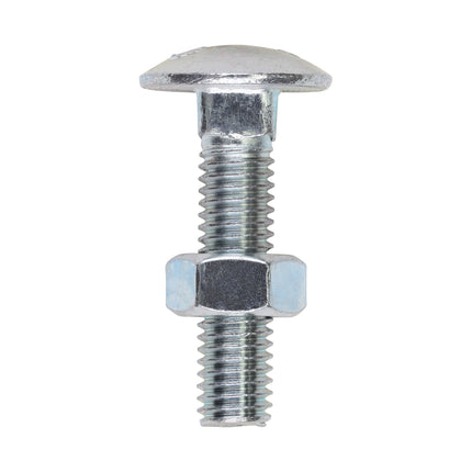 Timco Carriage Bolts & Hex Nuts, Zinc Steel