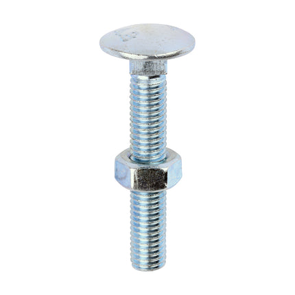Timco Carriage Bolts & Hex Nuts, Zinc Steel