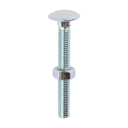 Timco Carriage Bolts & Hex Nuts, Zinc Steel