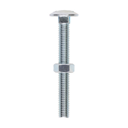Timco Carriage Bolts & Hex Nuts, Zinc Steel