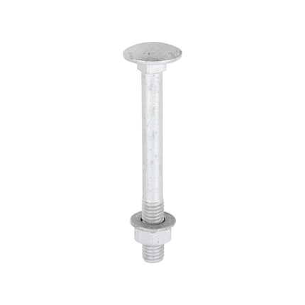 Timco Carriage Bolts Hex Nuts & Form A Washers Silver, Steel