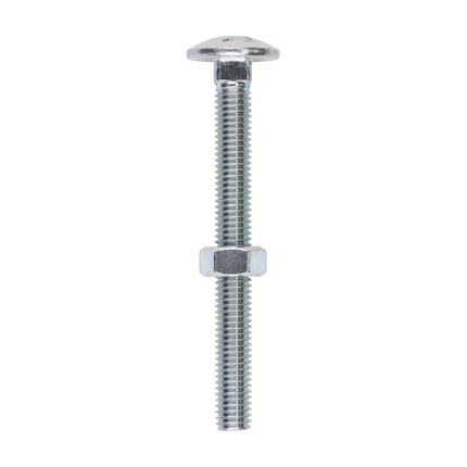 Timco Carriage Bolts & Hex Nuts, Zinc Steel