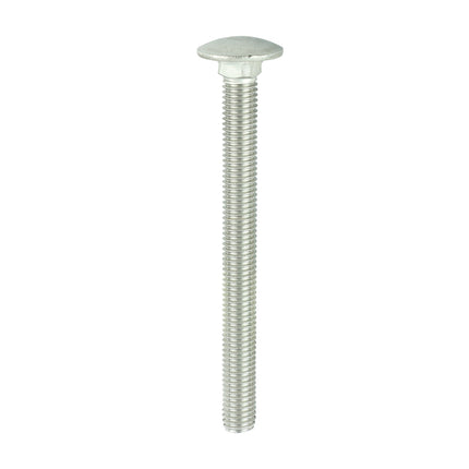 TIMCO Carriage Bolts A2 Stainless Steel
