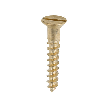 Timco Solid Brass Timber Screws Lime