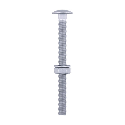 Timco Carriage Bolts Hex Nuts & Form A Washers Silver, Steel