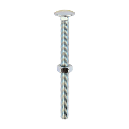 Timco Carriage Bolts & Hex Nuts, Zinc Steel