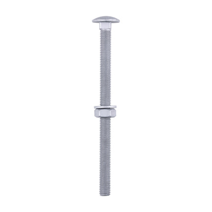 Timco Carriage Bolts Hex Nuts & Form A Washers Silver, Steel