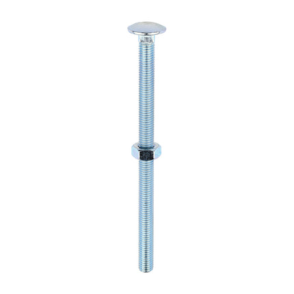 Timco Carriage Bolts & Hex Nuts, Zinc Steel