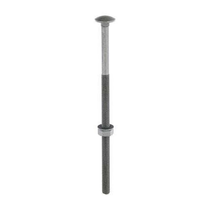 Timco Carriage Bolts Hex Nuts & Form A Washers Steel, Green, Lime