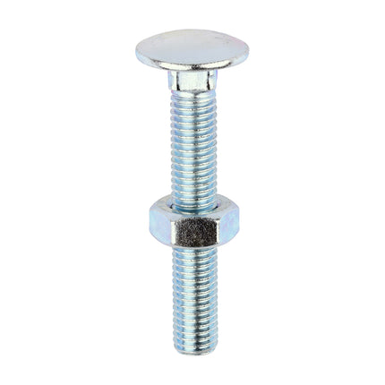 Timco Carriage Bolts & Hex Nuts, Zinc Steel