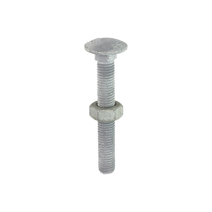 Timco Carriage Bolts & Hex Nuts Galvanised Steel