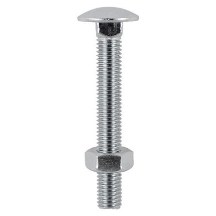Timco Carriage Bolts & Hex Nuts, Stainless Steel