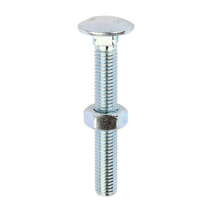 Timco Carriage Bolts & Hex Nuts, Zinc Steel