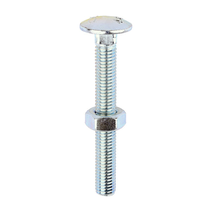 Timco Carriage Bolts & Hex Nuts, Zinc Steel