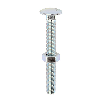 Timco Carriage Bolts & Hex Nuts, Zinc Steel