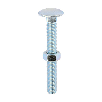 Timco Carriage Bolts & Hex Nuts, Zinc Steel