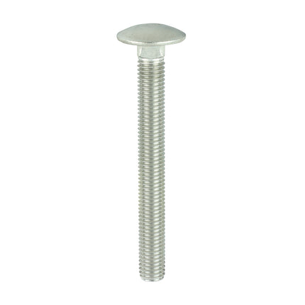 TIMCO Carriage Bolts A2 Stainless Steel