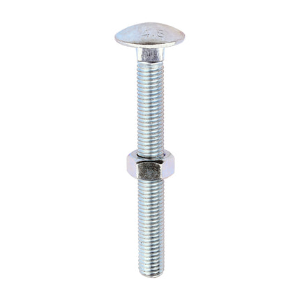 Timco Carriage Bolts & Hex Nuts, Zinc Steel