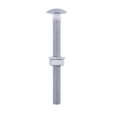 Timco Carriage Bolts Hex Nuts & Form A Washers Silver, Steel