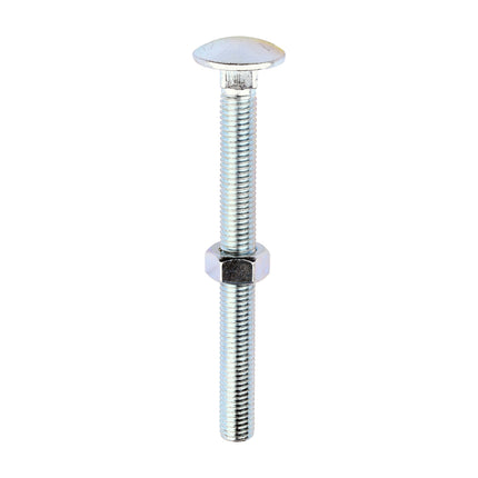 Timco Carriage Bolts & Hex Nuts, Zinc Steel