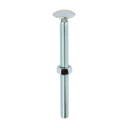 Timco Carriage Bolts & Hex Nuts, Zinc Steel
