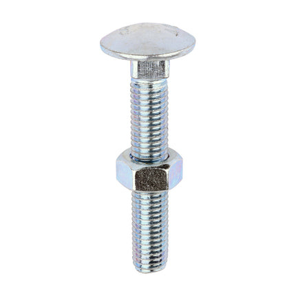 Timco Carriage Bolts & Hex Nuts, Zinc Steel