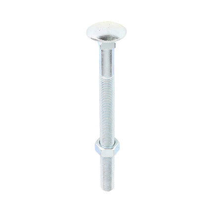 Timco Carriage Bolts & Hex Nuts, Zinc Steel