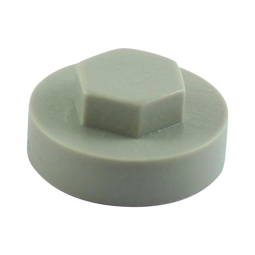 Timco Hex Head Cover Caps, Goosewing Grey Plastic, Ash
