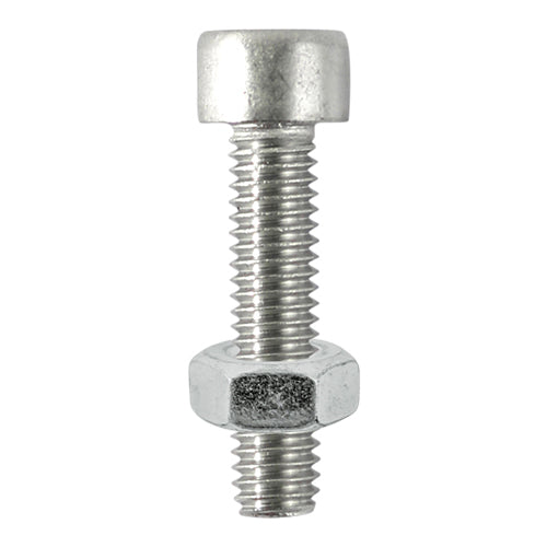 Timco Socket Screws & Hex Nuts Stainless Steel, Steel